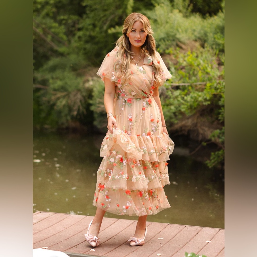 Ivy City Co Garden Party Dress